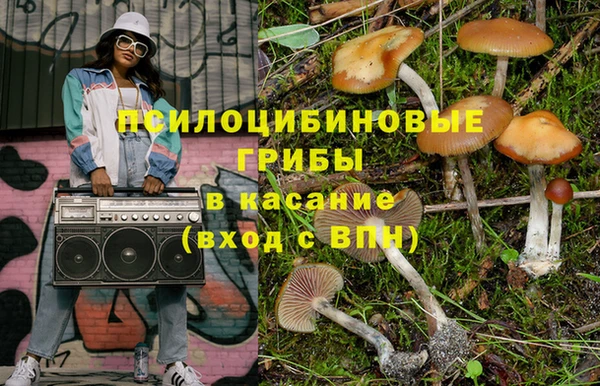 ПСИЛОЦИБИНОВЫЕ ГРИБЫ Алексеевка