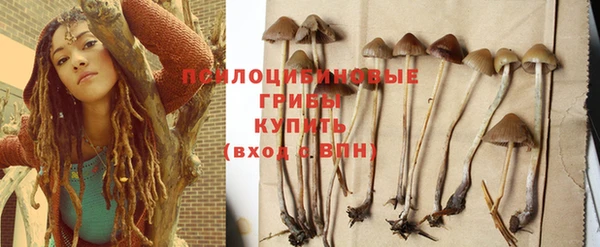 мяу мяу мука Навашино