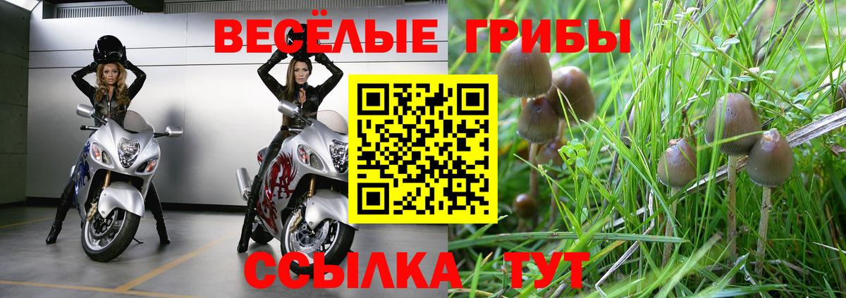 Кемерово  Галлюциногенные грибы Psilocybe  Псилоцибиновые грибы прущие грибы  Вход с VPN 