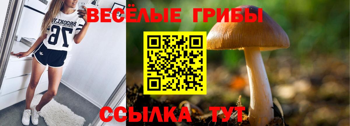 Псилоцибиновые грибы мицелий Кемерово